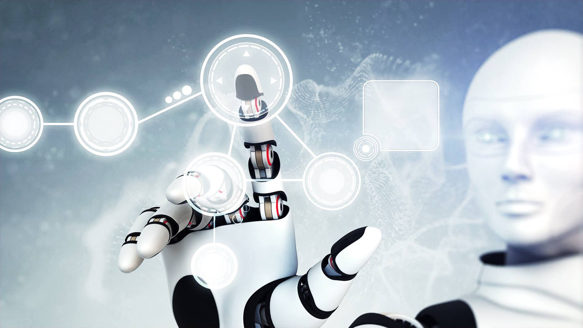 Our New Robot Partners