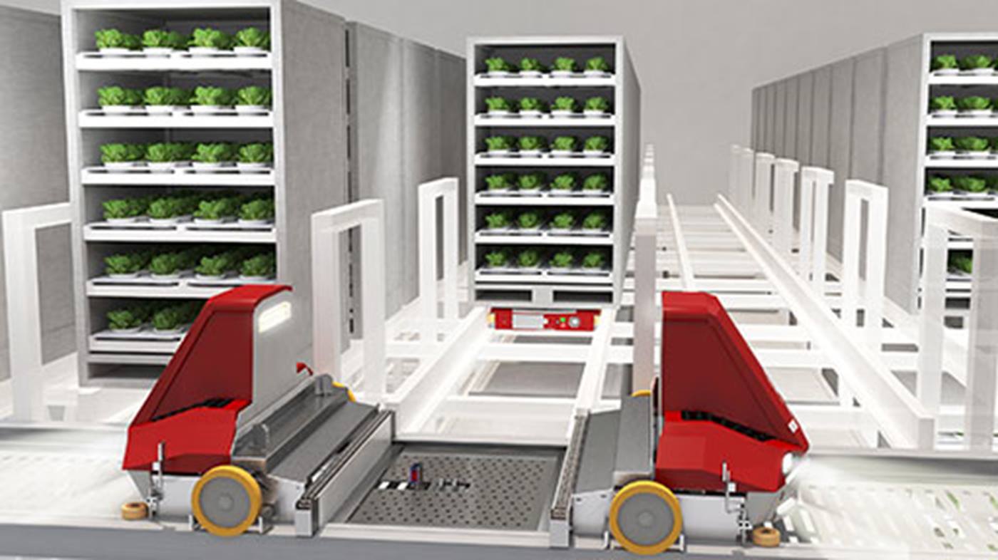 forskellige platform sælge Flexible Automation for Vertical Farming - Swisslog