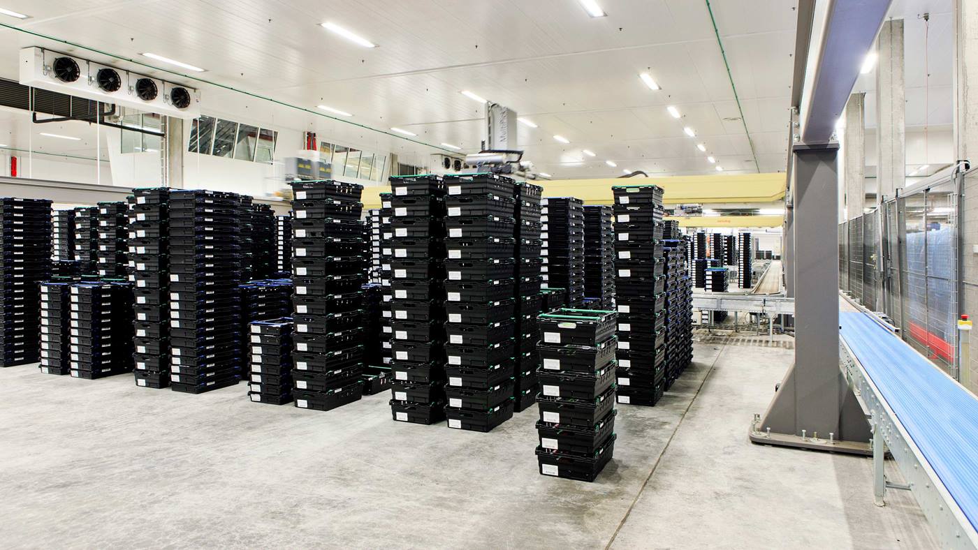MultiPick storage and picking system for crate handling